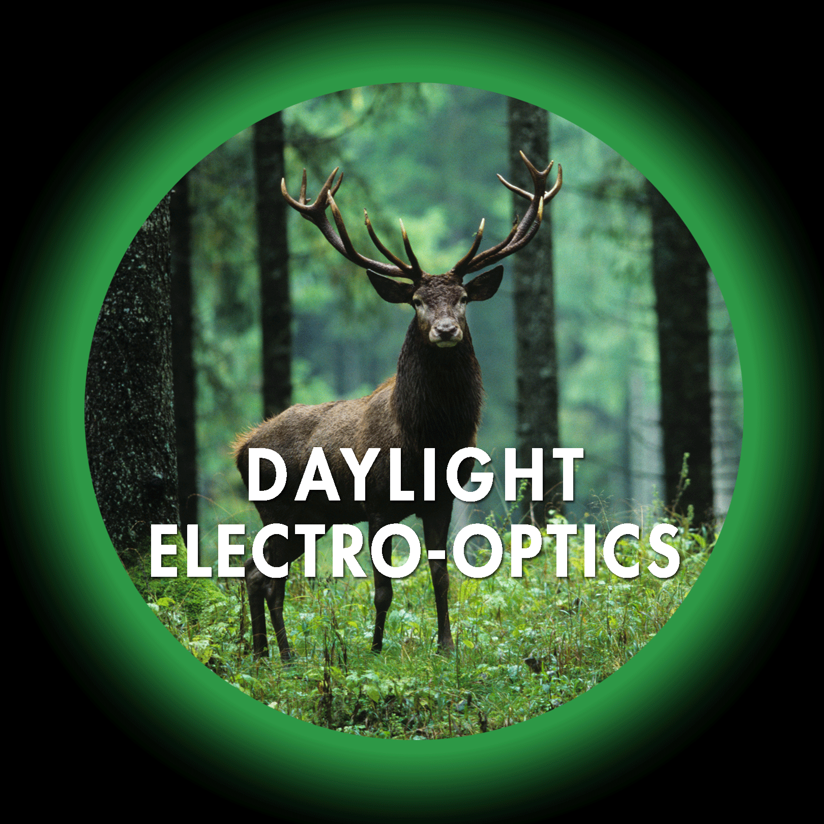 Daylight Electro-Optics Deer in the woods button image