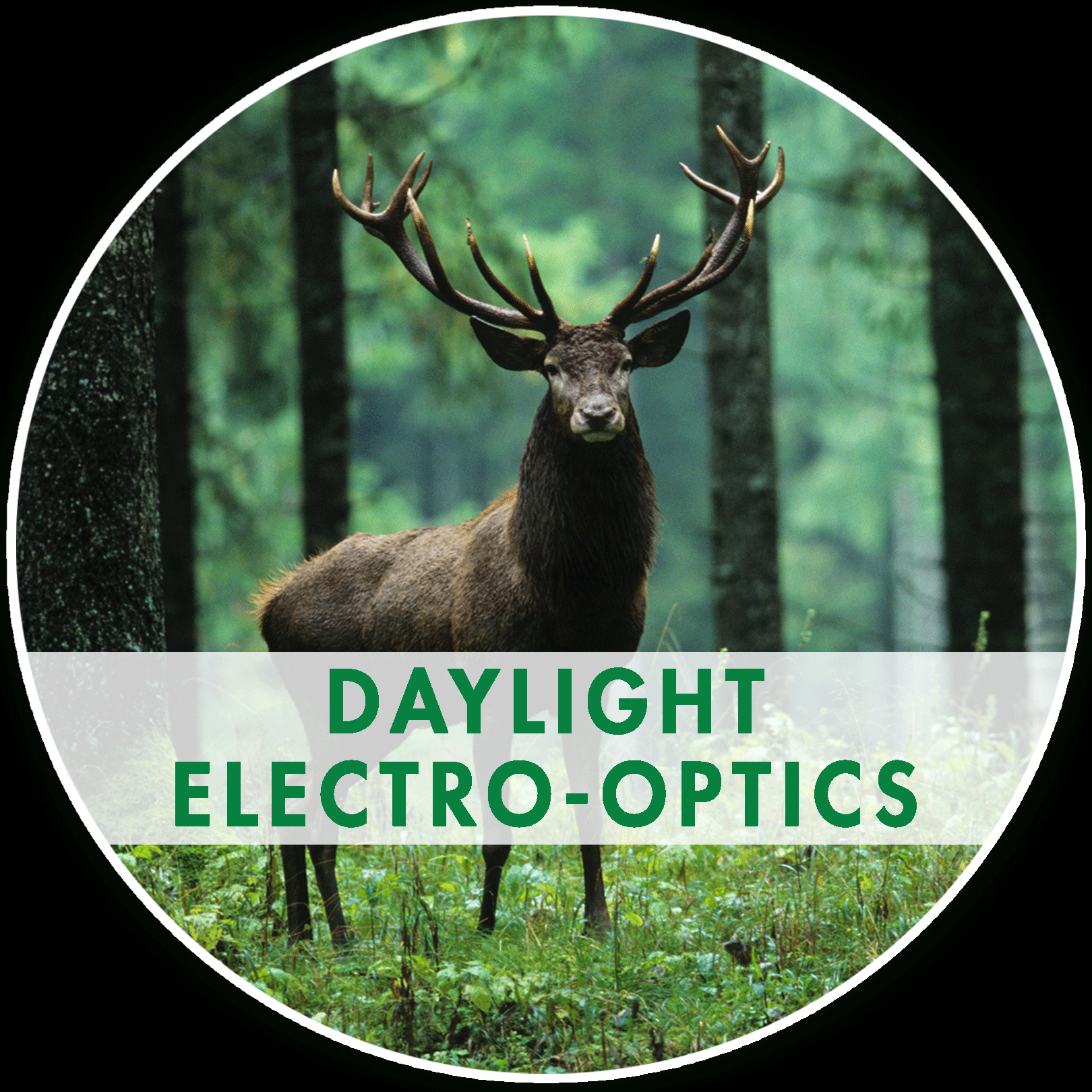 Daylight Electro-Optics Page Link Button