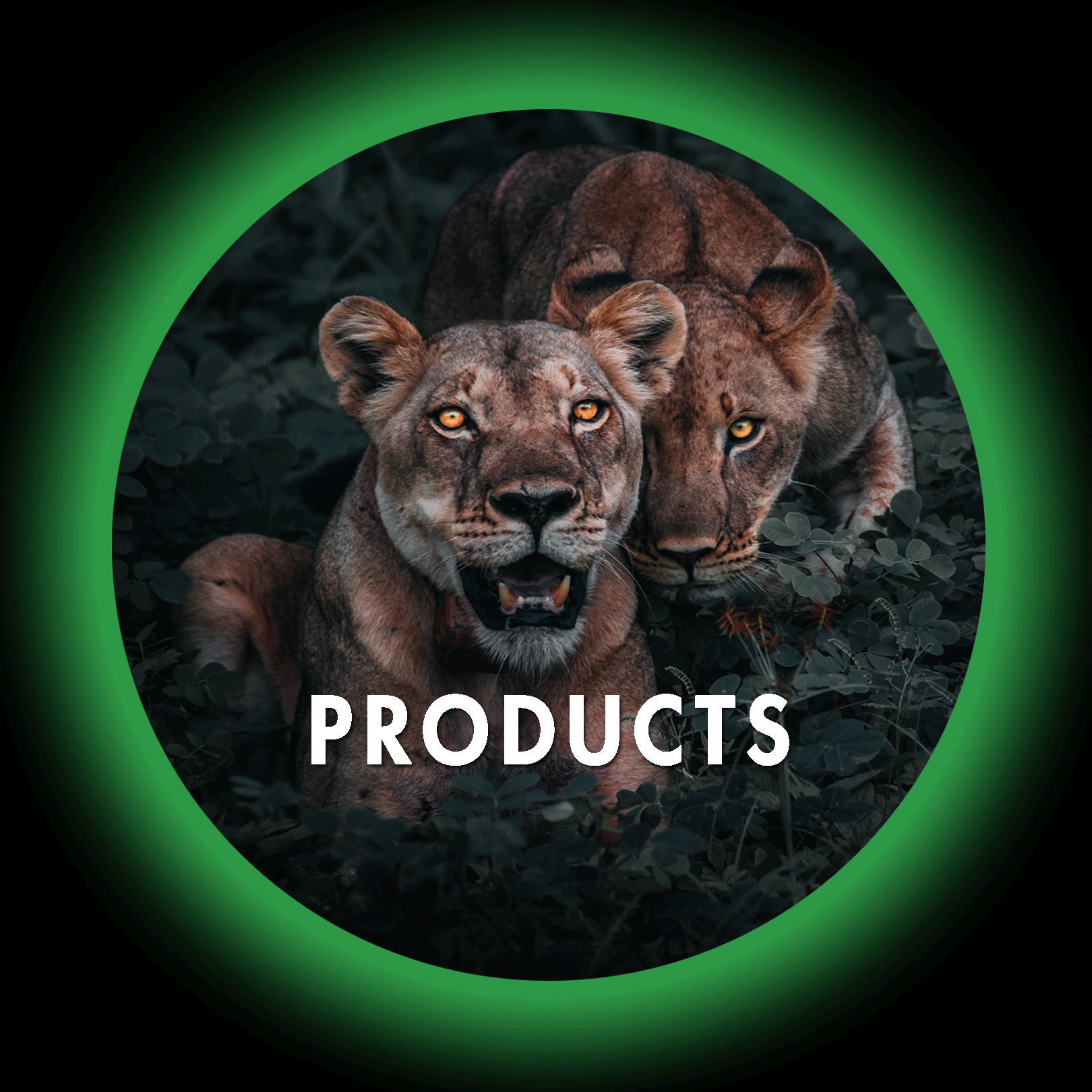 Products Button Image