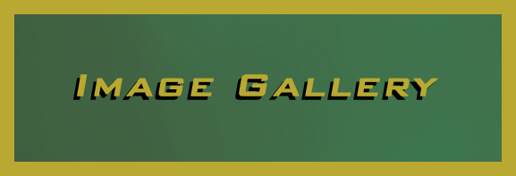 Image Gallery Page Link Button