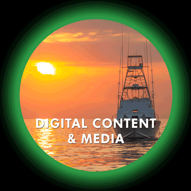 Digital Day / Night Vision Electro-Optics